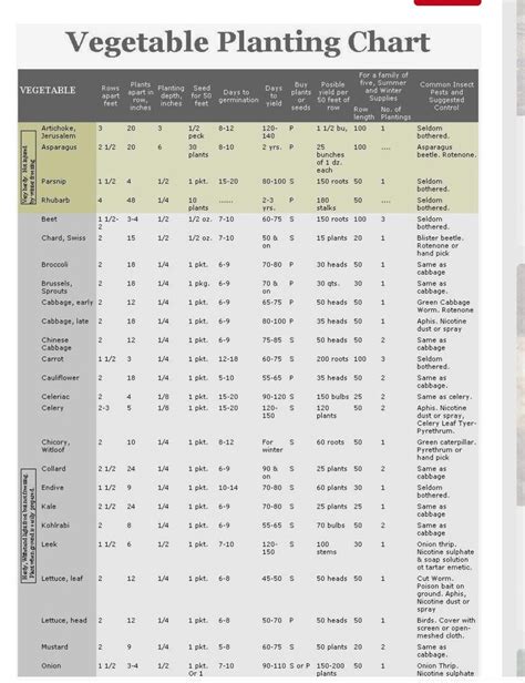 Veg Plant/Yield Chart 1 | Planting vegetables, Asparagus plant, Garden ...