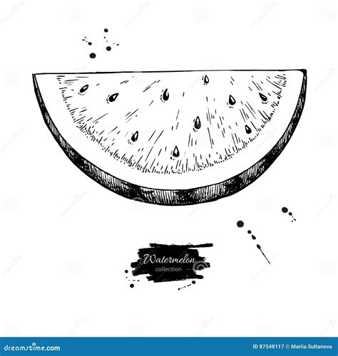 Watermelon Slice Vector Drawing. Isolated Hand Drawn Berry On White Stock Vector - Illustration ...