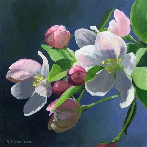 Apple Blossom Painting by Alecia Underhill | Flower art, Blossoms art, Flower painting