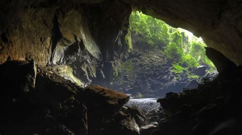 Scientists Name Brazilian Cave Spider After Aragog from Harry Potter ...