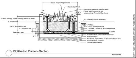 Biofiltration Planter Section Diagram