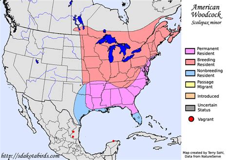 American Woodcock - Species Range Map