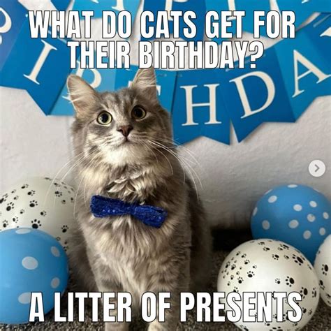 Happy Birthday Kitteh Meme