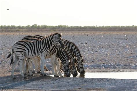 10 Best Namibia Tours & Trips 2023/2024 - TourRadar