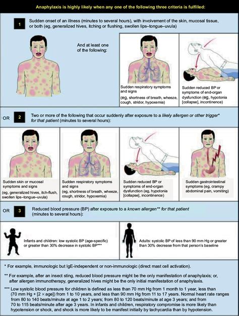 Anaphylaxis Rash / Example Symptoms of Anaphylaxis - Sacramento City Unified ... : This can ...