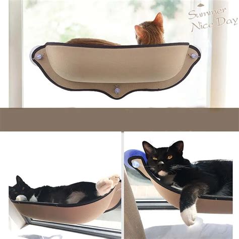 Cat Window Hammock | Catastic