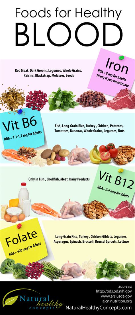 Best Foods for Anemia and Building Blood [Infographic] - Healthy Concepts with a Nutrition Bias