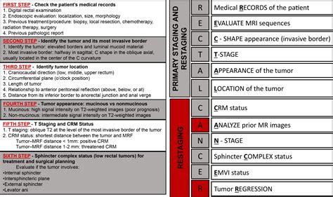 MRI of Rectal Cancer: Tumor Staging, Imaging Techniques, and Management ...