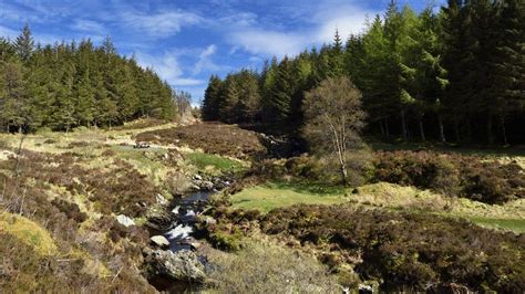 Galloway national park fight stepped up - BBC News