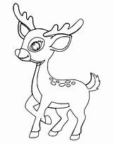 Fawn Coloring Pages  Free Printable Coloring For Kids sketch template