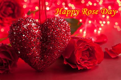 {7th Feb} Happy Rose Day: Wishes, Images, SMS, Quotes