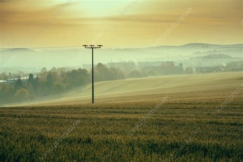 Rural landscape - Stock Image - F037/3228 - Science Photo Library