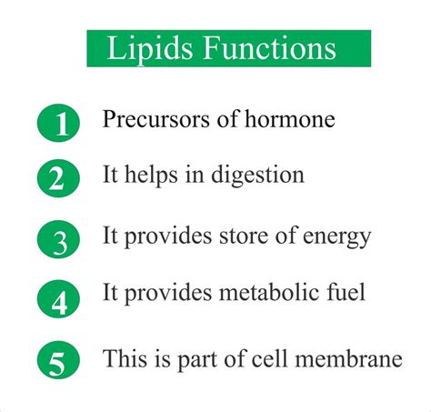 Lipids Total – Labpedia.net