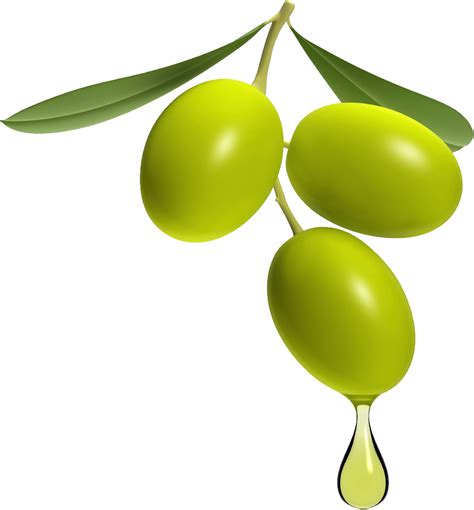 Olive PNG