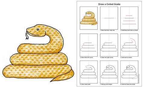 Coiled Snake Diagram Art Drawings For Kids, Drawing For Kids, Easy Drawings, Art For Kids, Snake ...