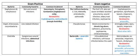 Antibiotics - drug classes and mechanisms - almostadoctor