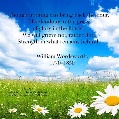 Splendor In The Grass Entire Poem / william wordsworth poem | Splendor ...