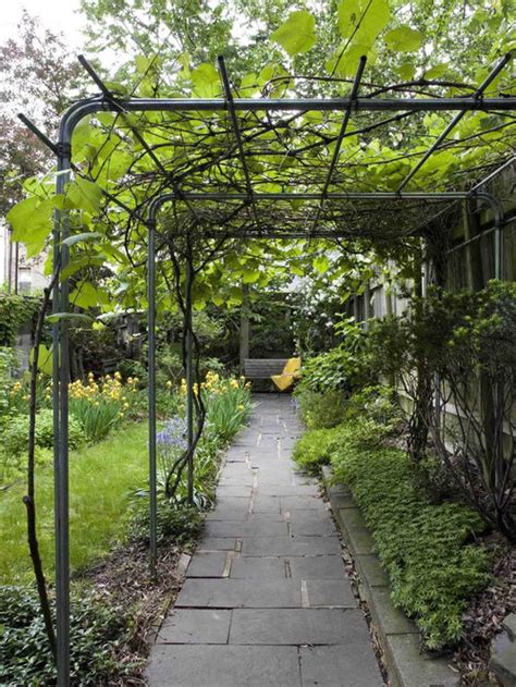 Grape Vine Trellis Ideas | Houzz