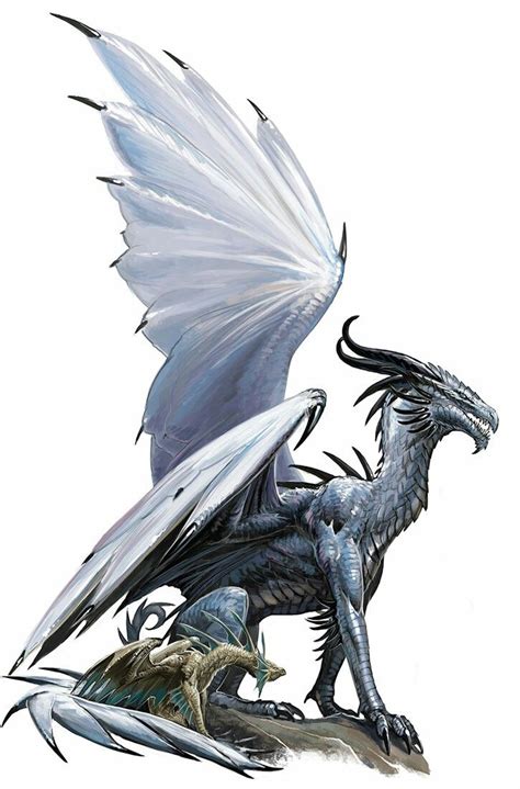 Silver Dragon - Pathfinder PFRPG DND D&D d20 fantasy | Fantasy dragon ...