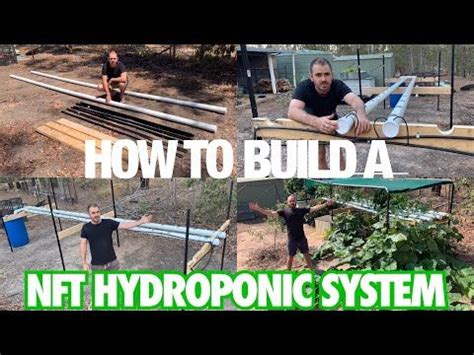 How to Build a NFT Hydroponics System with Hoocho. - YouTube in 2020 | Hydroponics system, Nft ...