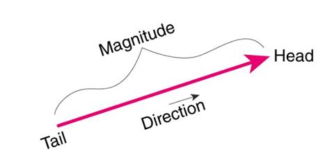 Difference Between Scalar and Vector Quantity | Linquip