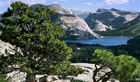 One Day in Yosemite at Tenaya Lake | Discover Yosemite National Park