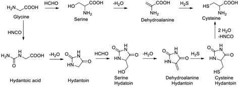 Two proposed mechanisms for prebiotic synthesis of cysteine starting ...