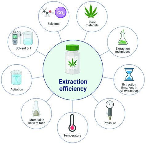 Factors affecting the extraction efficiency of plant bioactive compounds. | Download Scientific ...