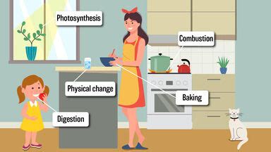 Examples of Chemical Changes in Everyday Life