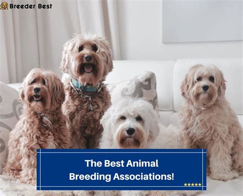 The Best Animal Breeding Associations! (2023) - Breeder Best