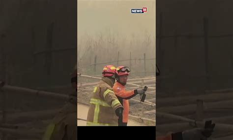 Smoke Billows As Wildfire In South Korea Fanned By Strong Winds | South Korea Wildfire | Viral ...