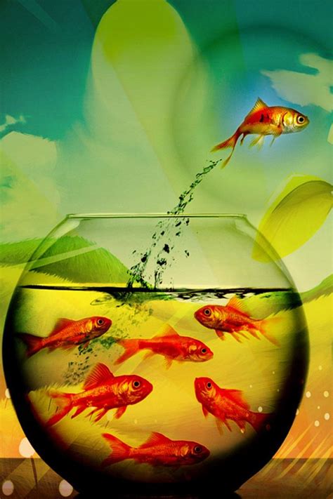 Fish Wallpaper | WhatsPaper