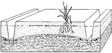 CHAPTER 6 - DRAINAGE