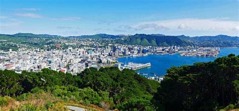 Mount Victoria (Wellington) - 2020 All You Need to Know BEFORE You Go (with Photos) - Tripadvisor