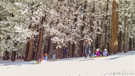 3 Snow Play Areas For Children Near Frazier Park Area | Best California ...