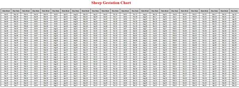 Sheep Gestation Calculator & Chart {Printable} - Livestocking