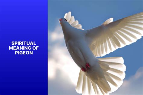 Unveiling the Spiritual Meaning of Pigeons for Mindful Reflection ...