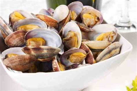 Tips for Clam Digging – Mother Earth News