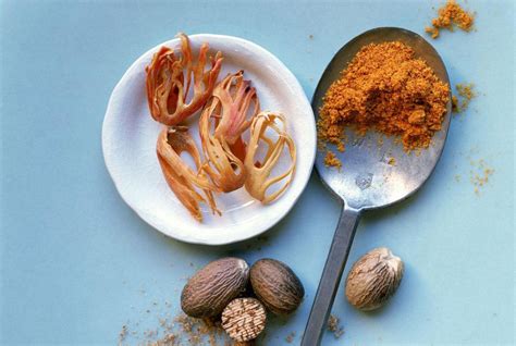 Nutmeg and Mace Spice History and Recipes