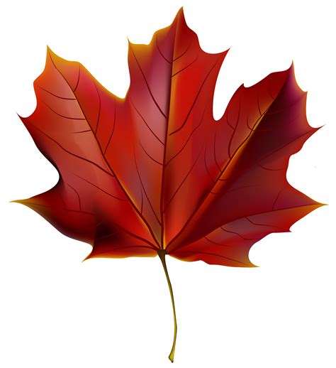 Beautiful Fall Leaf Png Clipart Image Fall Leaves Png Clip Art | Images and Photos finder