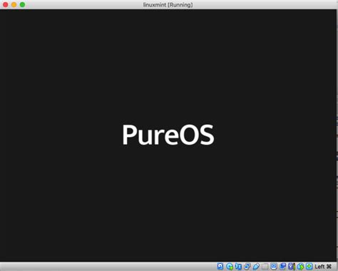 Pure OS: PureOS - Hype and Reality - DEV Community