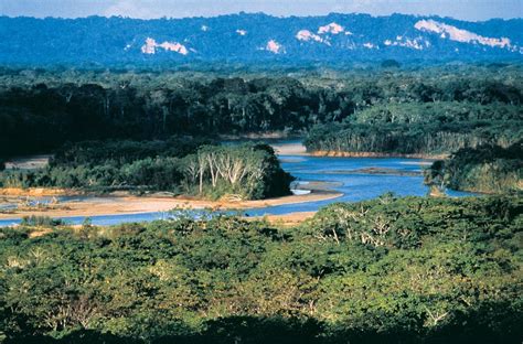 Madidi National Park - Bolivia * Astonishing natural riches lie within ...