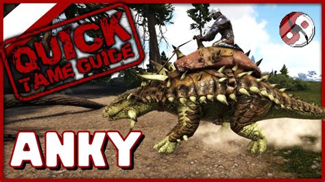 How To Tame an Ankylosaurus Ark Quick Easy Taming Guide - YouTube