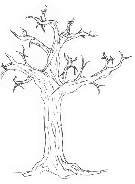 Free Simple Tree, Download Free Simple Tree png images, Free ClipArts on Clipart Library