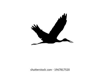 Swan Flying Silhouette Realistic Black Silhouette Stock Vector (Royalty Free) 2238038273 ...