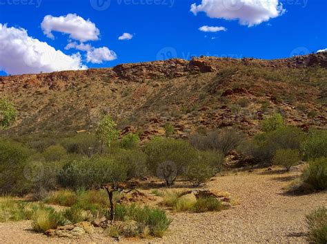 Australian outback landscape. Bush vegetation in dry season with red ...