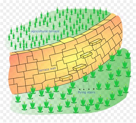 Inca Terrace-en - Inca Terrace Farming Diagram, HD Png Download - vhv