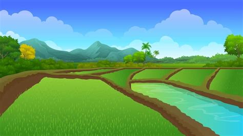 Premium Vector | The vast expanse of Paddy rice fields with Beautiful nature rural landscape