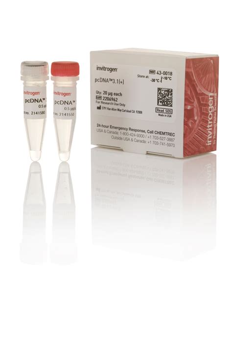 Invitrogen™ pcDNA™3.1 (+) Mammalian Expression Vector 20μg Products | Fisher Scientific