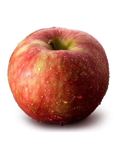 HONEY CRISP APPLE – Timothy's Marketplace